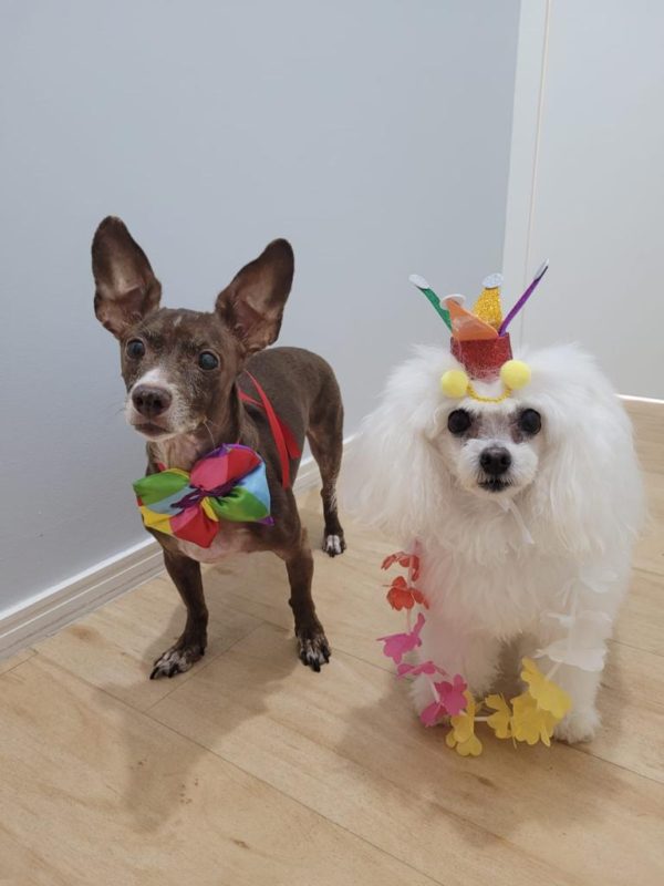 Agata e Cindy prontas para o Carnaval!